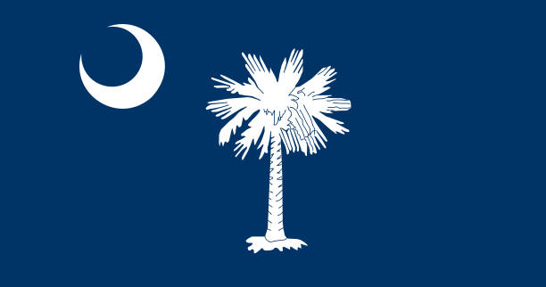 национальный флаг южной каролины, иллюстрация вектора, вектор флага южной каролины. - south carolina stock illustrations