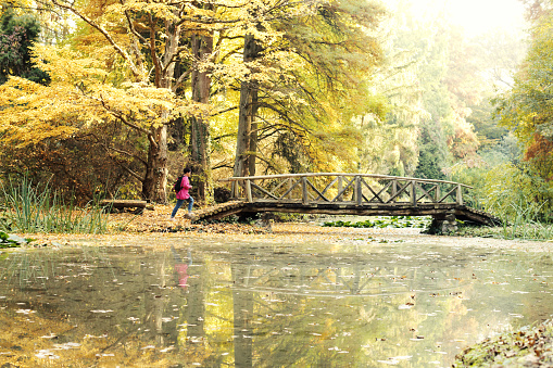 Woman walking in the park, crossing a bridge over the lake on a beautiful October day.