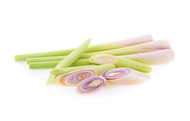 istock Lemongrass isolated on white background 1269651378