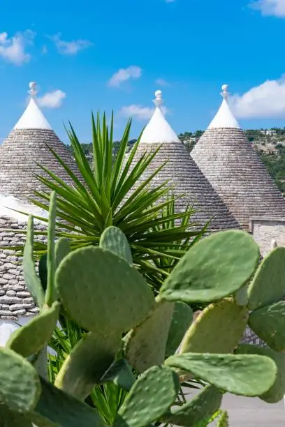 Group of beautiful Trulli, traditional  Apulian dry stone hut old houses with a conical roof in Itria Valley, Puglia, Italy, with cactus, vertical