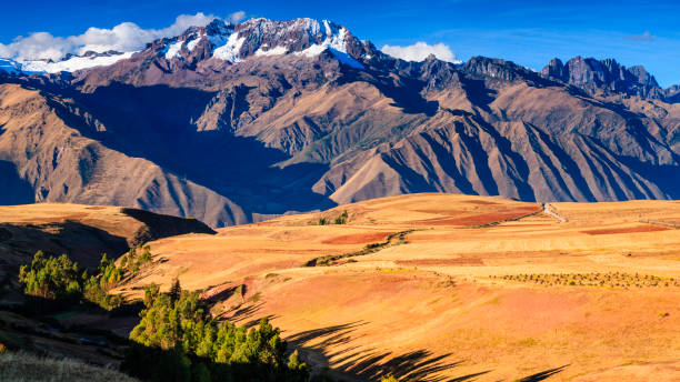 панорамный вид на перуанский альтиплано. andes на заднем плане - altiplano стоковые фото и изображения
