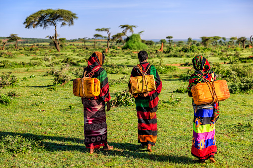 Young African women from Borana tribe carrying water to the village, African women and children often walk long distances to bring back jugs of water that they carry on their back.\nThe Borana Oromo are a pastoralist tribe living in southern Ethiopia and northern Kenya