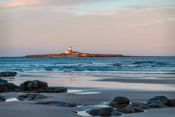 istock Coquet Island, Northumberland 1269655991