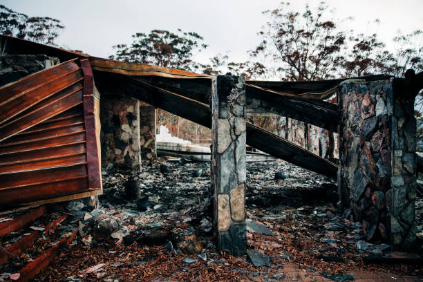 istock Lamington National Park Bush Fire Aftermath 1269656450