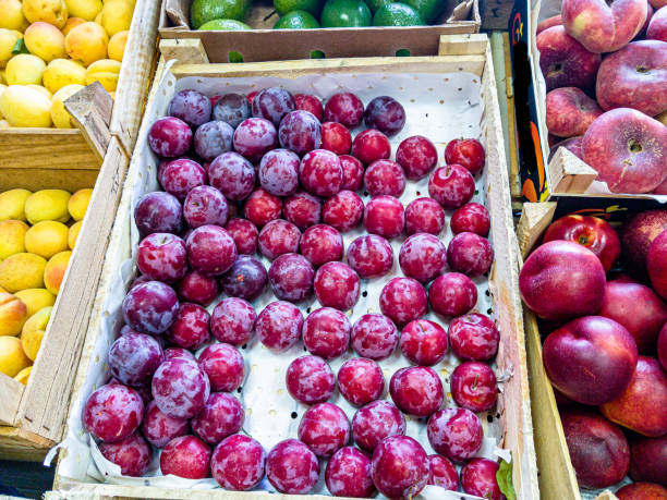 istock Fresh plums are in a drawer in the store. 1269661520