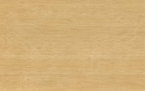 istock Limba veneer, exotic natural wood from Africa. 1269664110