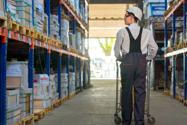 istock Back view of a warehouse worker with a trolley 1269664154