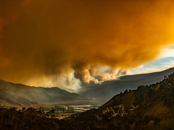 gerçeküstü wildfire orman yangın manzara - wildfire smoke stok fotoğraflar ve resimler