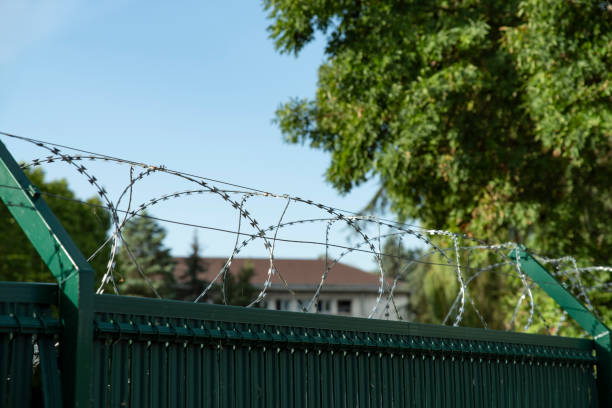 Barbed wire on a fence