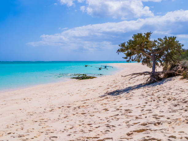 白い砂浜、エメラルドの海、典型的なアウトリガーピローグが背景に係留された牧歌的なnosy ve島、インド洋、マダガスカル - pendulum photography color image nobody ストックフォトと画像