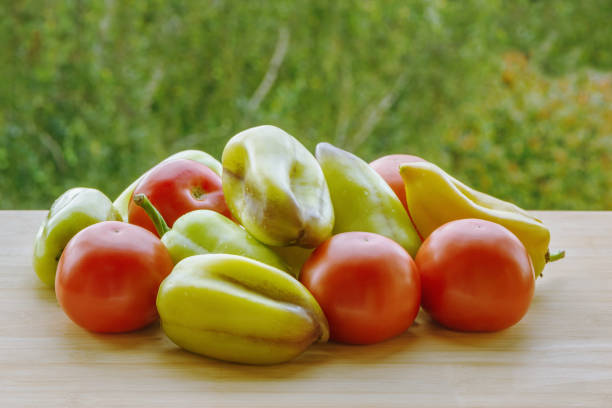 Kitchen counter full of various colorful vegetables