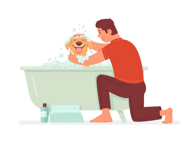 ilustrações de stock, clip art, desenhos animados e ícones de happy man washes the dog in the bathroom. the guy takes care of his pet. hygiene home animal - dog bathtub washing puppy