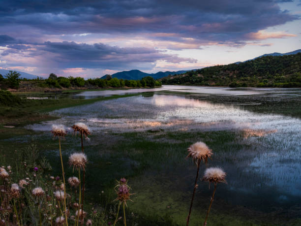 Lake Kerkini during sunset