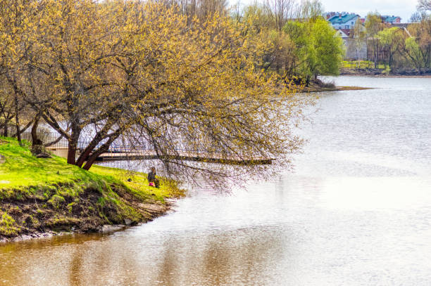 un pêcheur solitaire s’assied sur la rive d’un étang sous la couronne d’un grand arbre - cast in stone photos et images de collection