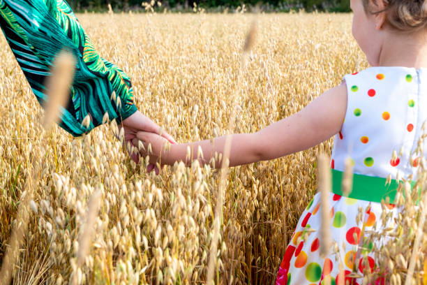 Mom holds the hand of a baby girl 5 years old. Close-up. Family of Caucasians. A field with ripe oats and a woman with children on the field. End of August. Back view. oat crop photos stock pictures, royalty-free photos & images