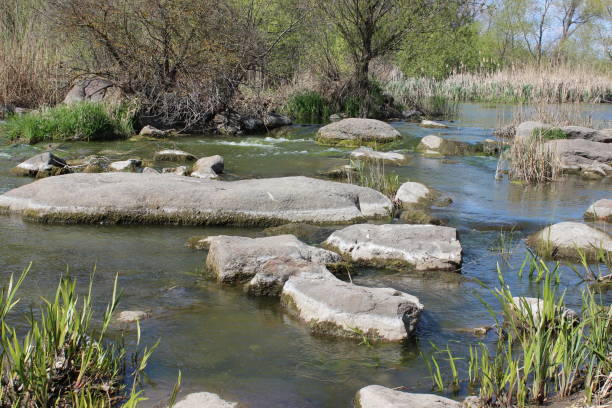 istock River with large granite stones. Steppe. Nature 1269683887