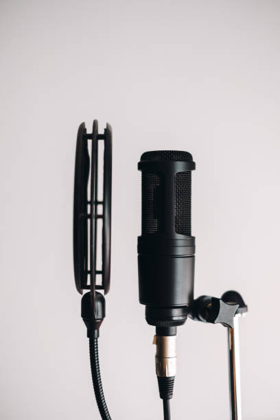 istock Black condenser microphone on stand with pop filter isolated on gray background 1269684178