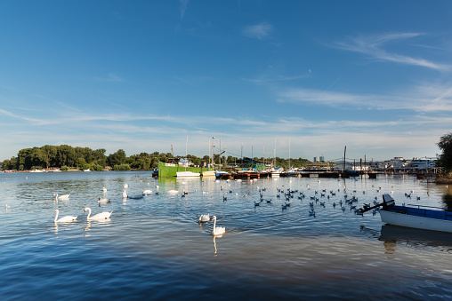 Belgrade, Serbia - August 26, 2020: Many small fishing boats anchored on Danube river. View from Zemun part of Belgrade. River Danube, small fishing boats, beautiful blue sky, swans and Zemun marina.