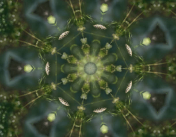 istock Kaleidoscope of greens 1269693825