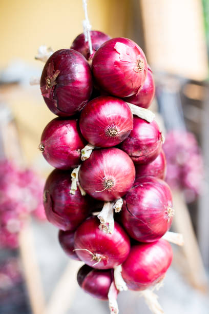 istock Bunch of onions, decor with onions with natural light 1269693844