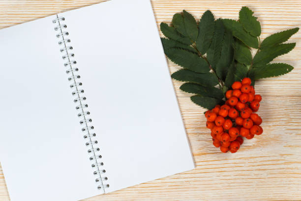 istock rowan ripe and opened blank notepad on white wooden table 1269694863