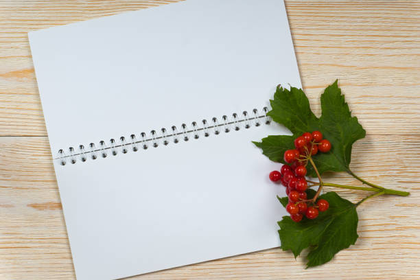 istock viburnum ripe and opened blank notepad on white wooden table 1269694872