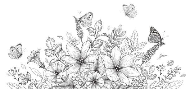 Hand drawn blooming flowers and butterflies Hand drawn blooming flowers and butterflies on blank background. Black and white different wildflowers. Vector monochrome elegant floral composition in vintage style, coloring page. coloring illustrations stock illustrations