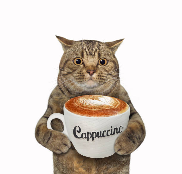 istock Cat with cup of cappuccino 1269696812