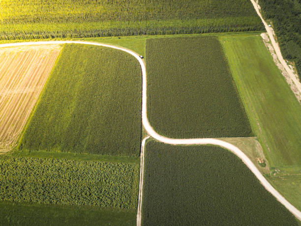 istock Aerial view of a curvy paved road between farming fields at sunset 1269698283