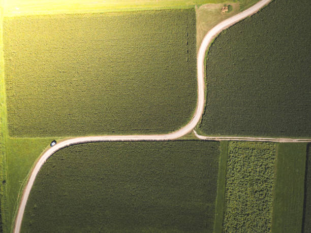 istock Top Aerial view of a curvy paved road between farming fields at sunset 1269698284