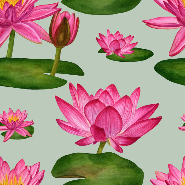 istock Pink lotuses. Watercolor illustration for wallpapers, textiles, fabrics, wrapping paper. Seamless pattern with water lilies. 1269698475