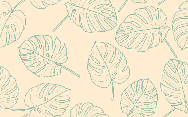 Seamless pattern with monstera leaves Pattern. Vector, Hand-drawn leaf silhouettes. outline illustration, Summer seamless pattern background. Seamless pattern with monstera leaves Pattern. Vector, Hand-drawn leaf silhouettes. outline illustration, Summer seamless pattern background. jungle leaf pattern stock illustrations