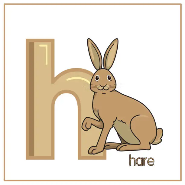 Vector illustration of Vector illustration of Hare isolated on a white background. With the capital letter H for use as a teaching and learning media for children to recognize English letters Or for children to learn to write letters Used to learn at home and school.