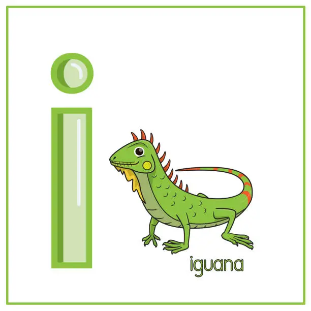 Vector illustration of Vector illustration of Green Iguana isolated on a white background. With the capital letter I for use as a teaching and learning media for children to recognize English letters Or for children to learn to write letters Used to learn at home and school.