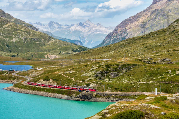 bernina express am weißen see in ospizio bernina, engadin, schweiz - white lake stock-fotos und bilder