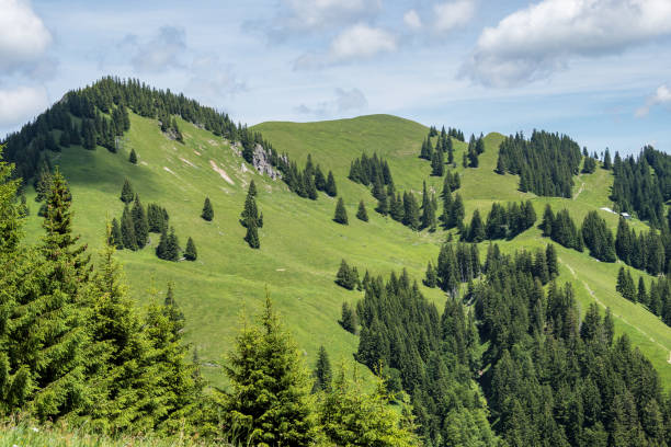 istock Landscape around Bad Hindelang in Bavaria, Germany 1269704990