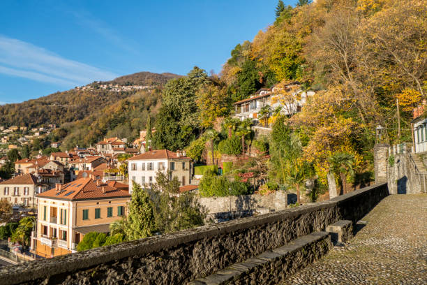 istock Foliage in Maccagno against a blue sky. 1269705039