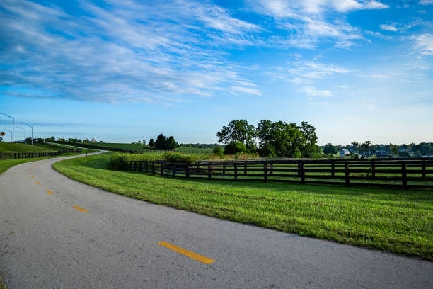 istock Sunrise over bicycle path next to agriculture fields 1269705068