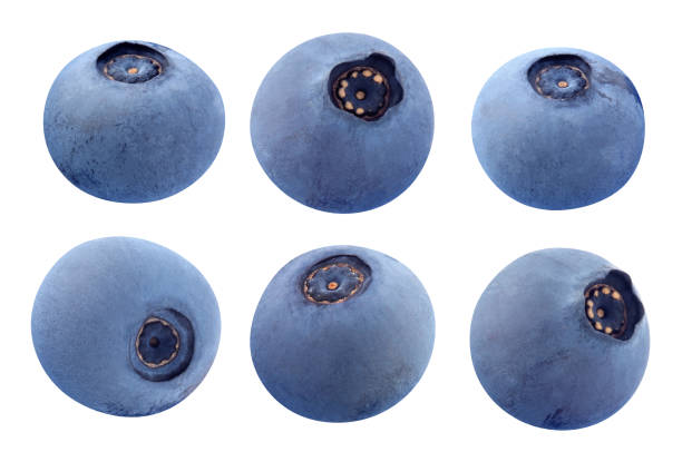 istock blue blueberries isolated on a white background. 1269707305