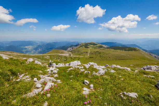 View from the Schneeberg in Lower Austria View towards Losenheim and Puchberg from the highest peak near Vienna wiener neustadt stock pictures, royalty-free photos & images