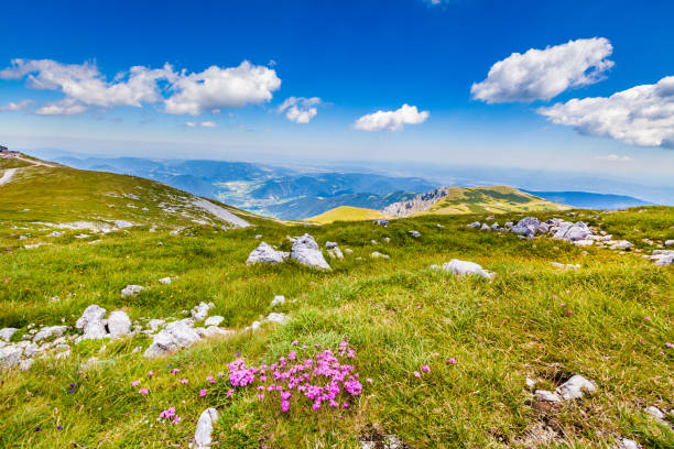 Panorama from the Schneeberg in Lower Austria View from Lower Austria's highest mountain wiener neustadt stock pictures, royalty-free photos & images