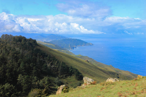 istock Forest and grassland along the coast 1269708508