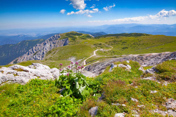 istock Panorama from the Schneeberg in Lower Austria 1269708592