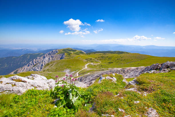 Panorama from the Schneeberg in Lower Austria stock photo