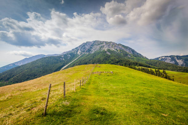 View of the Schneeberg in Lower Austria View towards Lower Austria's highest mountain peak wiener neustadt stock pictures, royalty-free photos & images