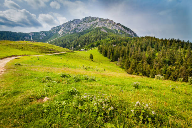 istock View of the Schneeberg in Lower Austria 1269708927