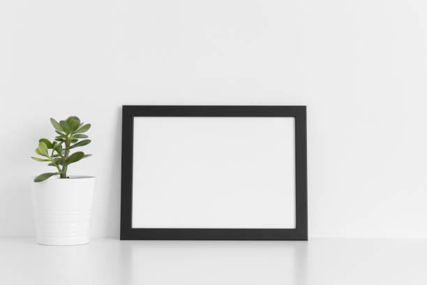 istock Black frame mockup with a crassula plant in a pot on a white table.Landscape orientation. 1269710270