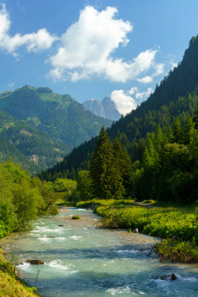 istock Along the cycleway of Fassa valley, Dolomites 1269712841