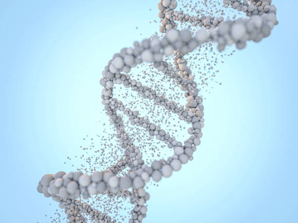 istock DNA chain. Abstract background. Genetics and medicine concept. 3D rendering 1269714325