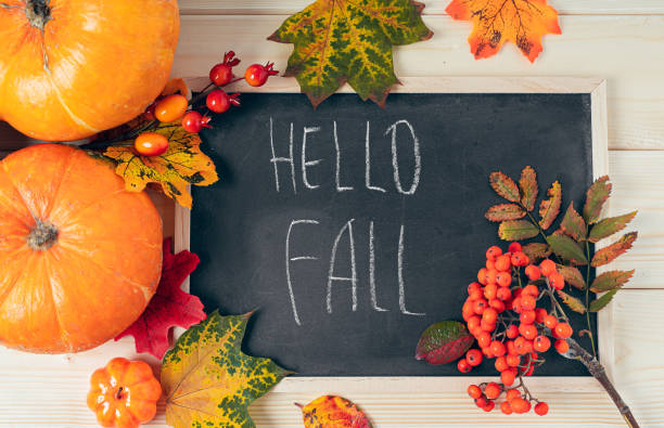 istock Hello fall. Pumpkins, berries and fallen leaves with chalk blackboard frame on wooden background. Halloween, Thanksgiving day or seasonal autumnal. Flat lay, top view 1269715099